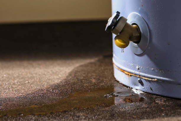 Best Water damage restoration near me  in Clintonville, WI