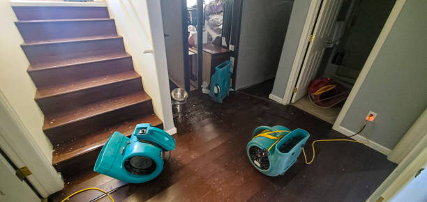 Best Flood damage cleanup  in Clintonville, WI