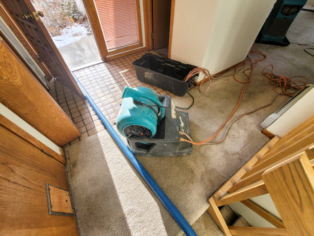 Best Professional water damage repair  in Clintonville, WI
