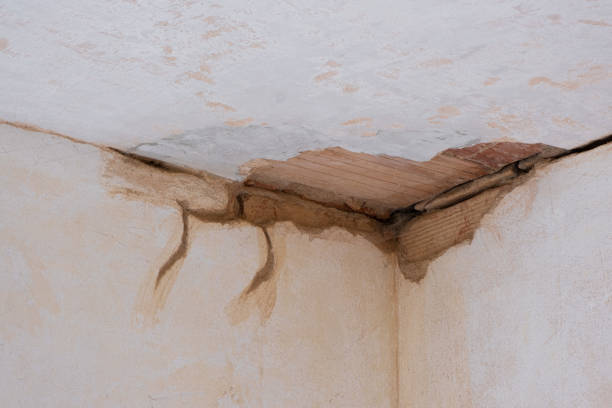 Best 24/7 water damage repair  in Clintonville, WI