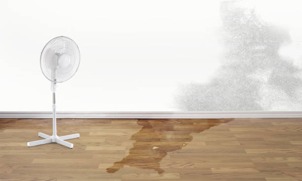 Best Water damage restoration near me  in Clintonville, WI