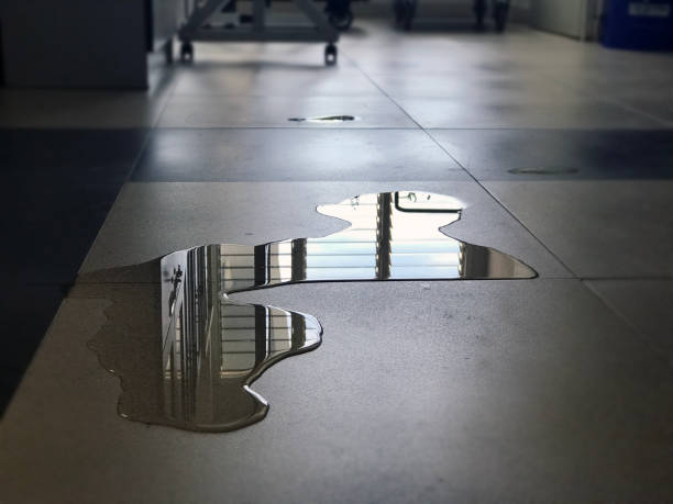 Best Water damage restoration near me  in Clintonville, WI
