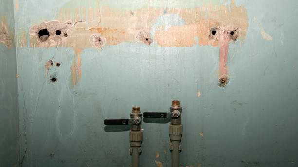 Best Water damage restoration cost  in Clintonville, WI