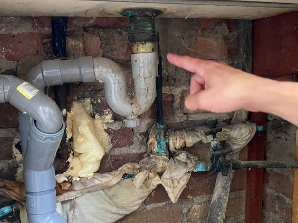 Best Sewage cleanup and water damage restoration  in Clintonville, WI