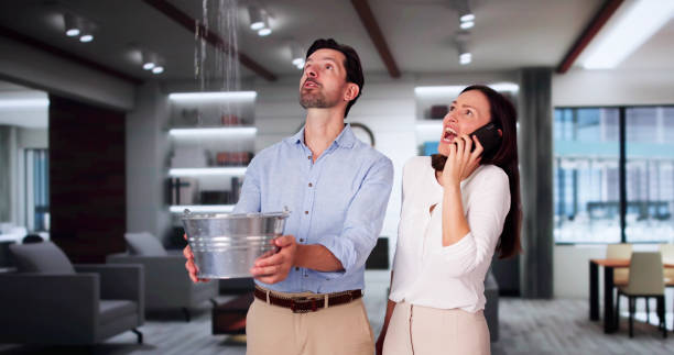Best Flooded house restoration  in Clintonville, WI