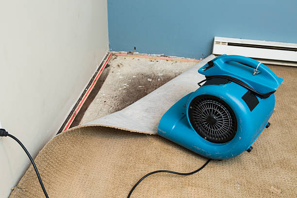 Best Professional water damage repair  in Clintonville, WI